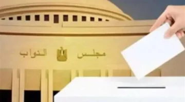 دقائق معدودة.. يكشف الرقم القومي أسرار اسم المدرسة ورقم اللجنة للناخبين